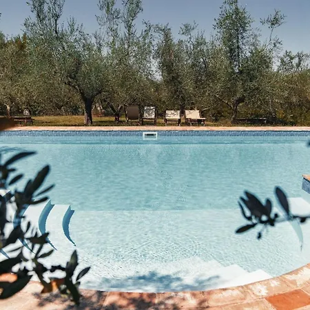 Mit Mezzanin Und Schwimmbad- In Einem In Den Huegeln By Interhome * 페자로